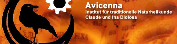 Avicenna-Institut